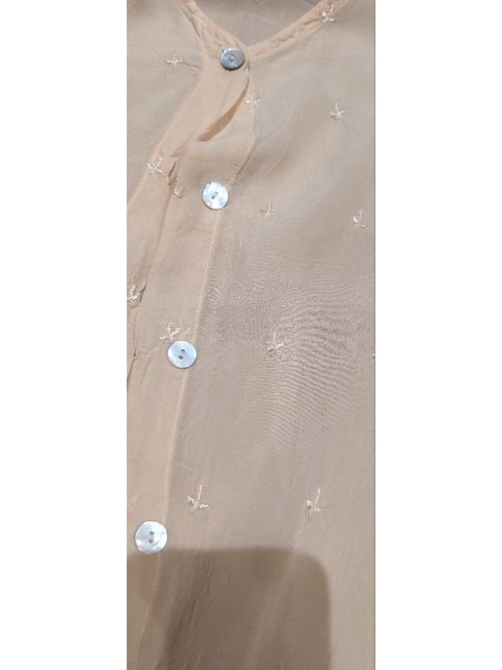 Vintage Sheer Embroidered Button-Front Blouse in Beige - Picture 5 of 10